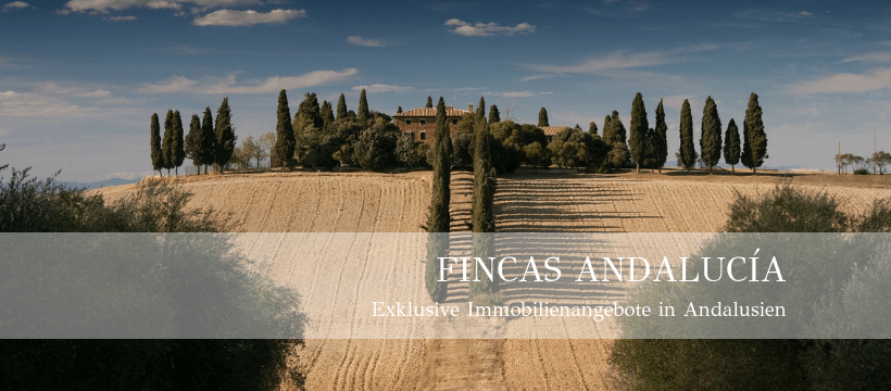 (c) Fincas-andalucia.com