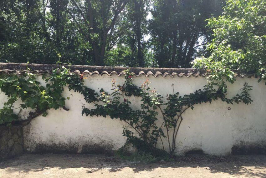 J-0159-Casa-de-Campo-in-Ronda-El-Llano-de-la-Cruz-02