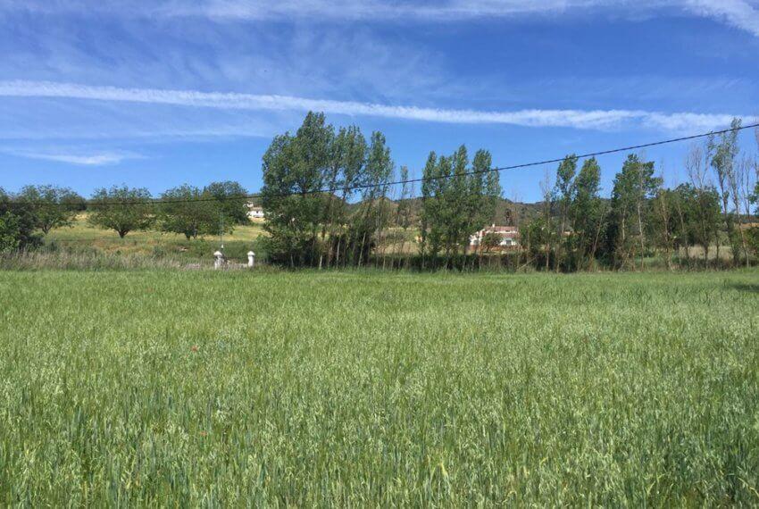 J-0159-Casa-de-Campo-in-Ronda-El-Llano-de-la-Cruz-09