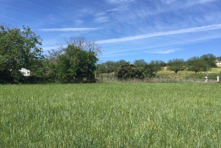 J-0159-Casa-de-Campo-in-Ronda-El-Llano-de-la-Cruz-10