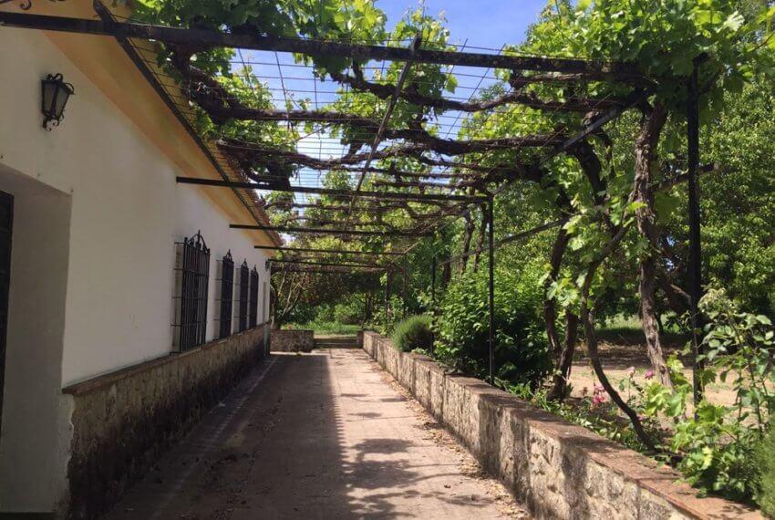 J-0159-Casa-de-Campo-in-Ronda-El-Llano-de-la-Cruz-36