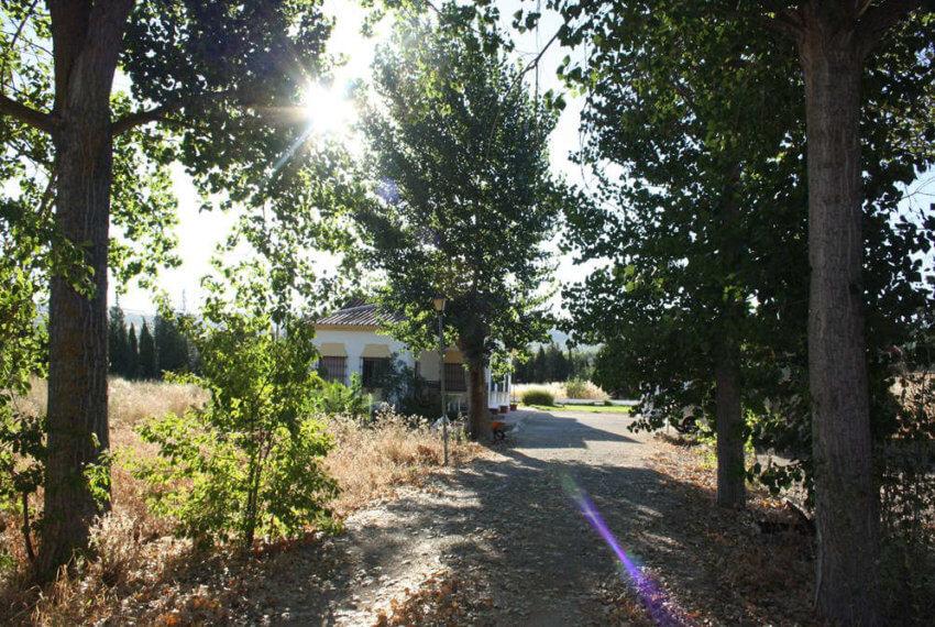 M-1024-casa-de-campo-mit-pool-und-tennisplatz-in-ronda-24