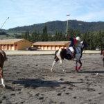 Pferdeparadies_Polo-Club_Finca_Andalusien