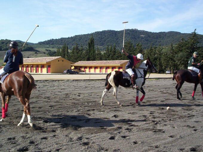 Pferdeparadies_Polo-Club_Finca_Andalusien