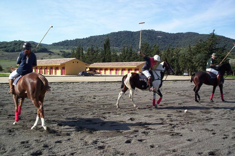 Pferdeparadies_Polo-Club_Finca_Andalusien