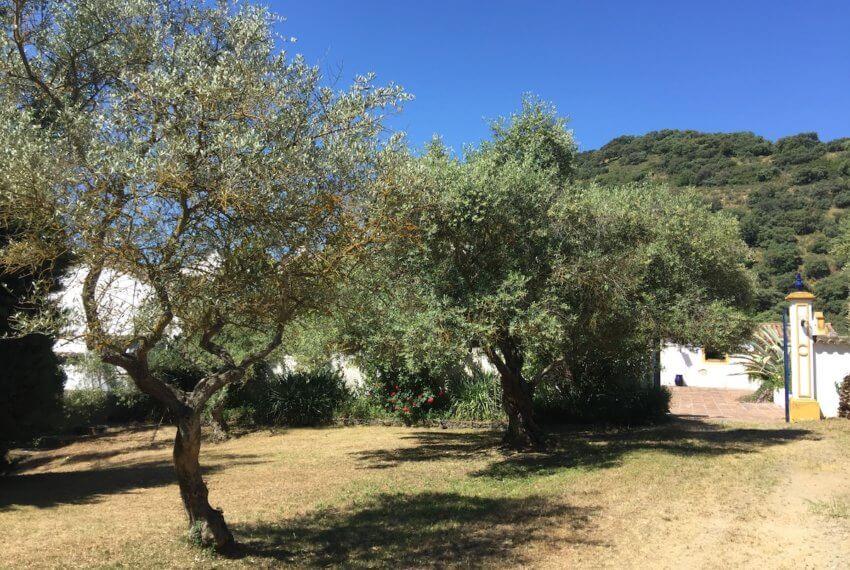 Fincas Andalucia - Typisches spanisches Cortijo mit Pferdeboxen in Ronda