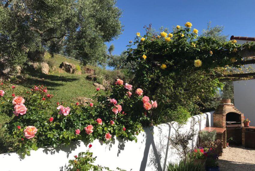 Fincas Andalucia - Ronda - Wunderschöne Finca mit herrlicher Aussicht auf die Berge von Grazalema