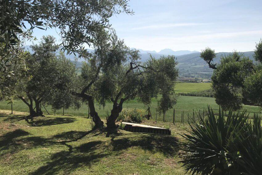 Fincas Andalucia - Ronda - Wunderschöne Finca mit herrlicher Aussicht auf die Berge von Grazalema