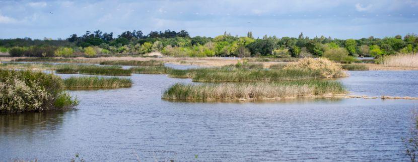 Doñana Nationalpark