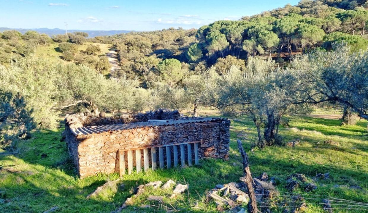 FA-7257 Traumhafte Finca mit atemberaubender Aussicht und viel Potenzial-39