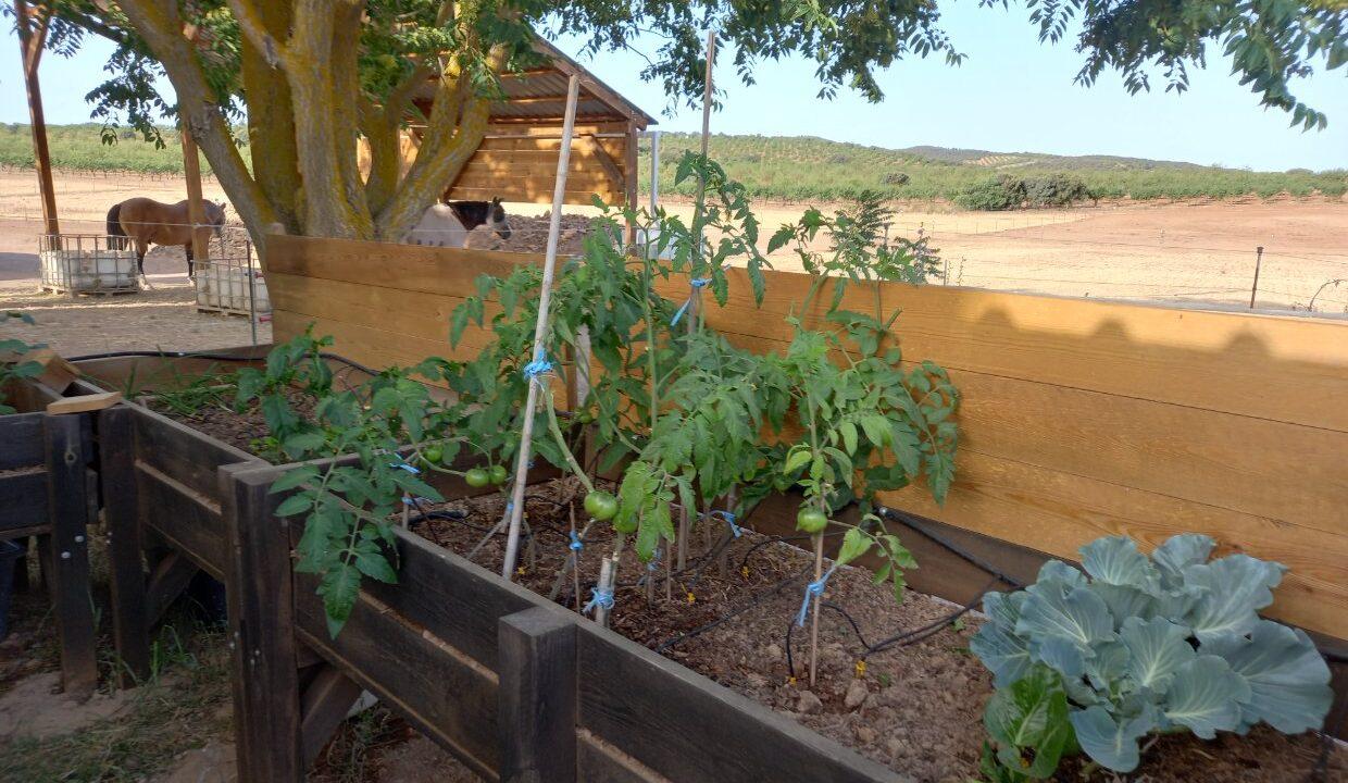 FA-7782__Traumhafte-Finca-Alleinlage_13