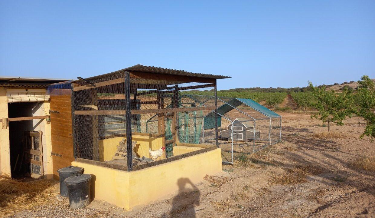 FA-7782__Traumhafte-Finca-Alleinlage_17