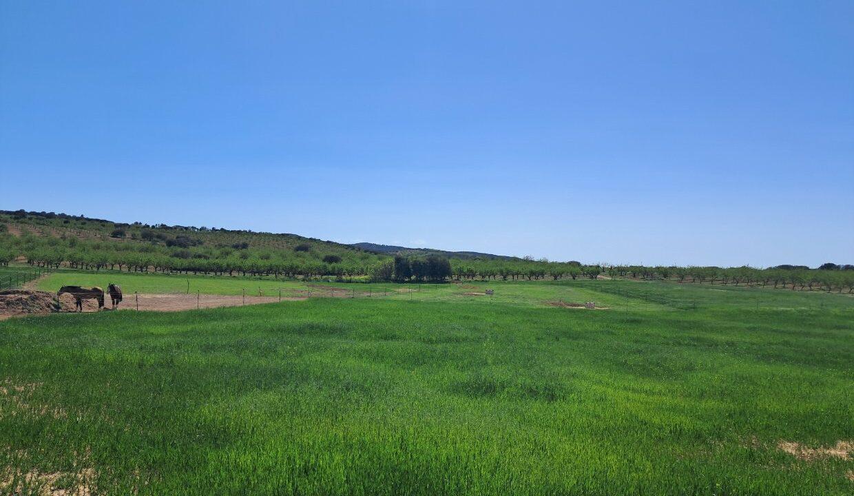 FA-7782__Traumhafte-Finca-Alleinlage_2