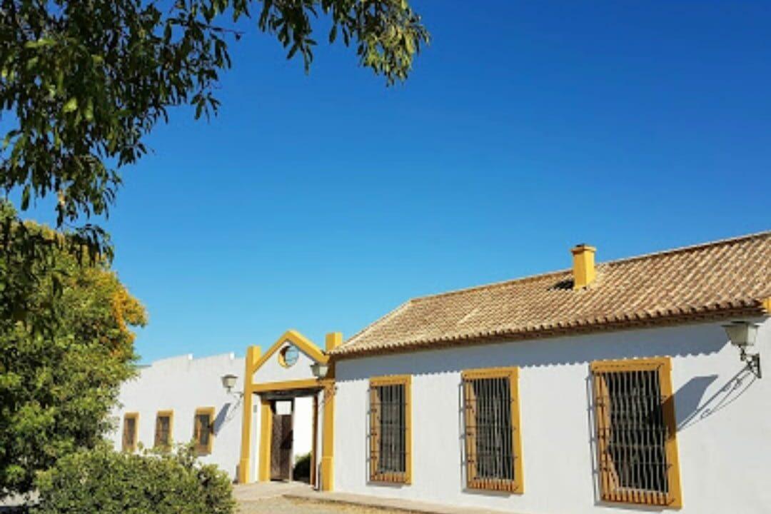 Finca mit Reitanlage in Morón de la Frontera-15