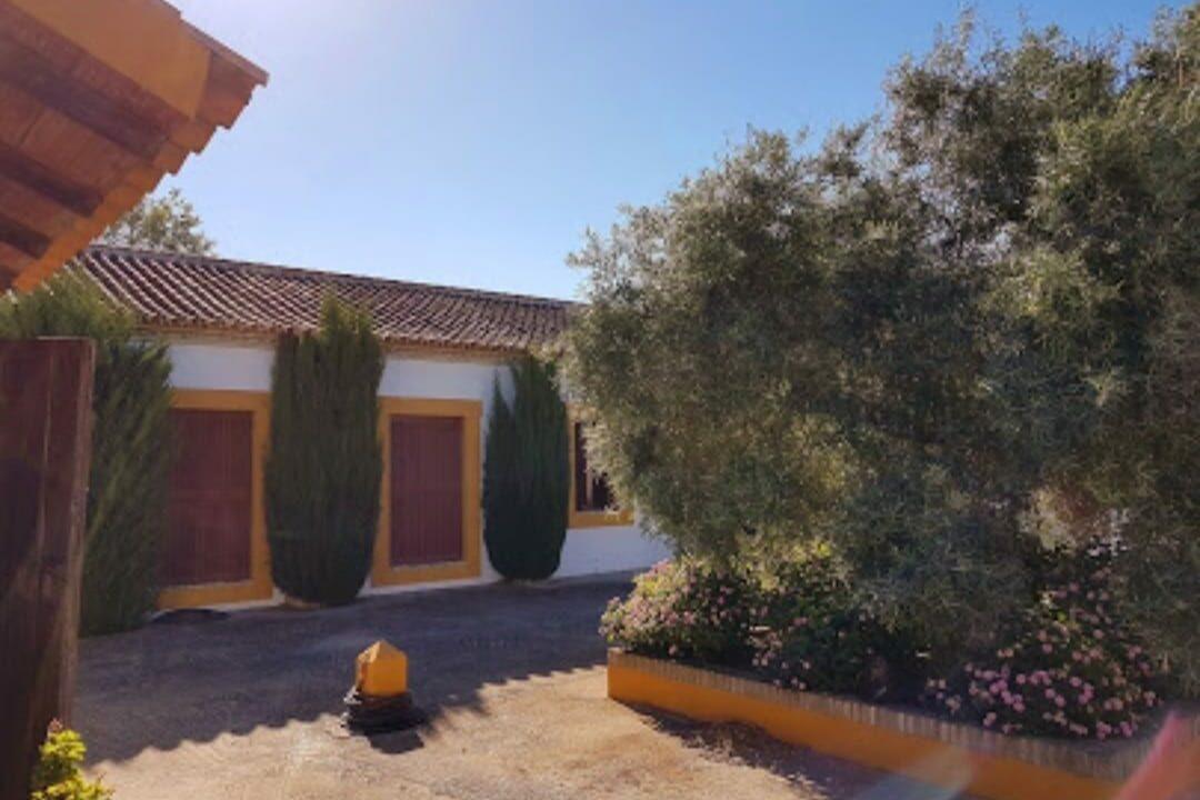 Finca mit Reitanlage in Morón de la Frontera-22