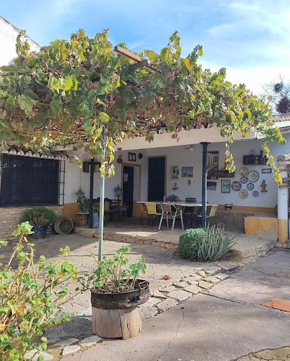 Haus mit Stall für 2 Pferde in Ronda, Andalusien-33