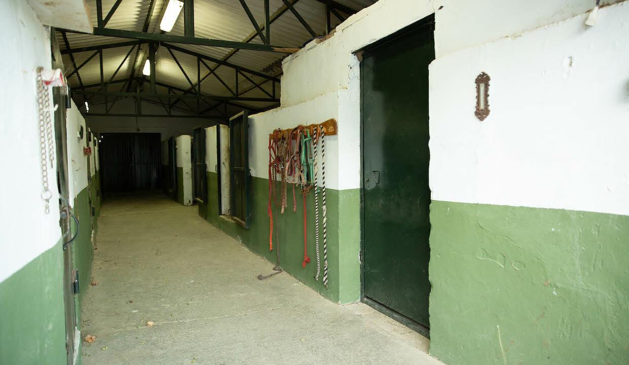 Landhaus mit Gaestehaus, Pool und Pferdestall in Jimena de la Frontera-13