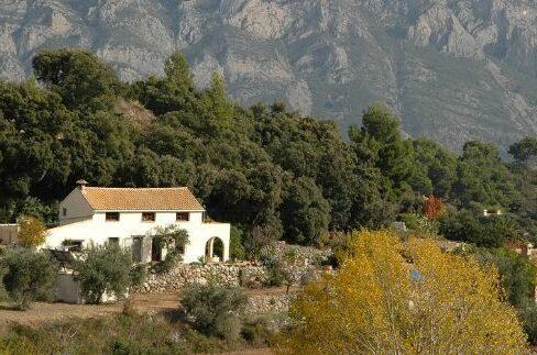 Tipps Kauf Finca in Andalusien