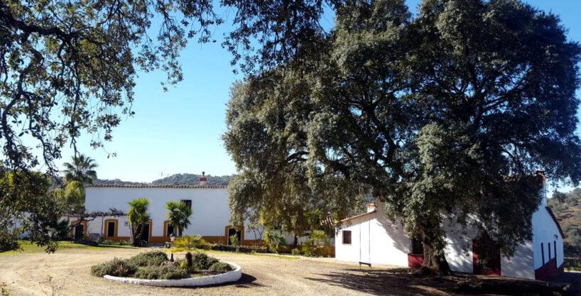 Manzano