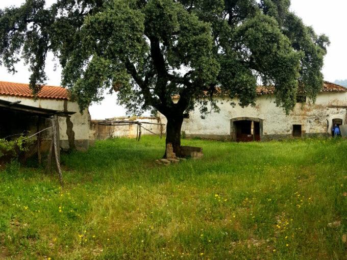 Schöne Finca mit Kork- und Kastanienbäumen